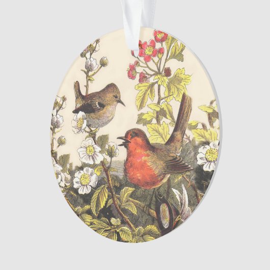 Spring Robin Birds Red Birding Ornament (voorkant)