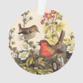 Spring Robin Birds Red Birding Ornament (voorkant)