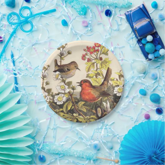 Spring Robin Birds Red Birding Papieren Bordje (Feest)