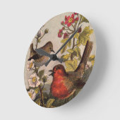 Spring Robin Birds Red Birding Ronde Klok (Hoek)