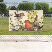Spring Robin Birds Red Birding Spandoek (Insitu)