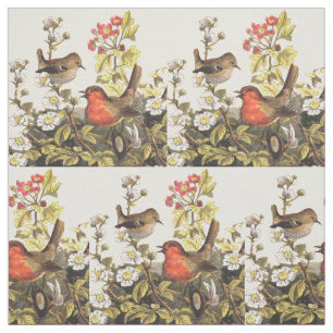 Spring Robin Birds Red Birding Stof
