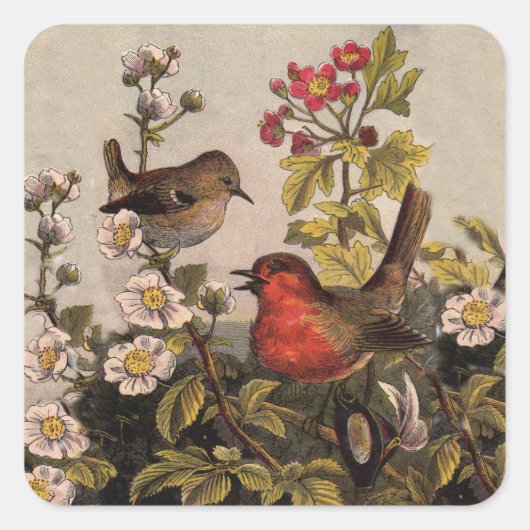 Spring Robin Birds Red Birding Vierkante Sticker (Voorkant)