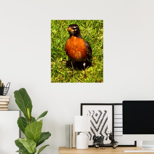 Spring Robin Poster (Thuiskantoor)