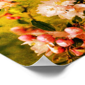 Spring roze en witte bloesems Abstract Poster (Hoek)