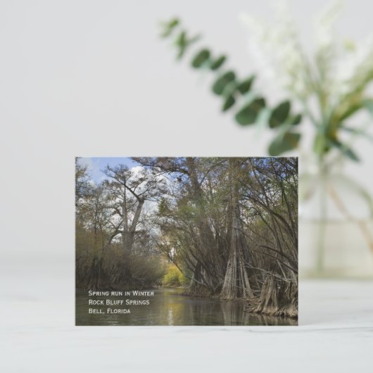 Spring Run en hiver Carte postale (Debout devant)