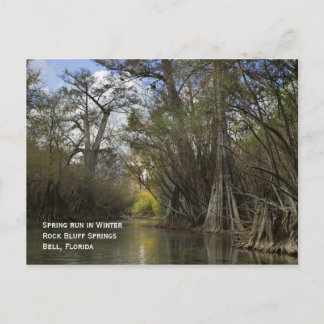 Spring Run en hiver Carte postale