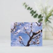 Spring Sky Blossom Briefkaart (Staand voorkant)