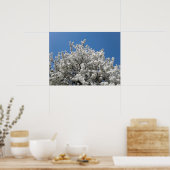 Spring Snow Crabapple Tree in Bloom Poster (Keuken)