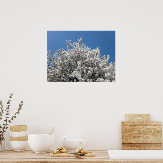 Spring Snow Crabapple Tree in Bloom Poster (Keuken)