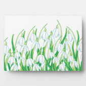 Spring Snowdrops Fotoplaat (voorkant)