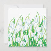 Spring Snowdrops Kaart (Voorkant)