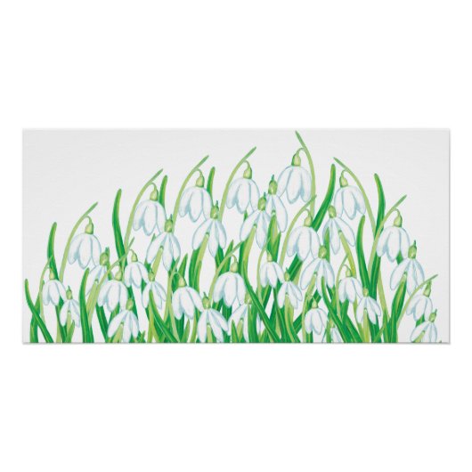 Spring Snowdrops Perfect Poster (Voorkant)