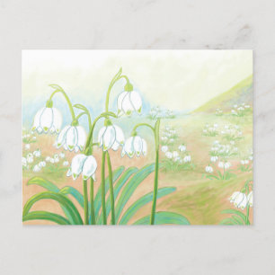 Spring Snowflake, Leucojum vernum Illustration Feestdagenkaart