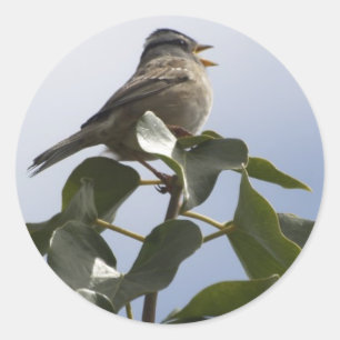 SPRING SONG BIRD COLLECTIE RONDE STICKER