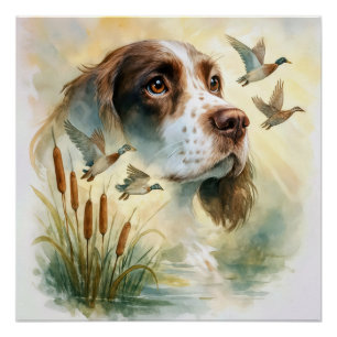 Spring Spaniel en Wilde Eenden Dubbele Belichting Perfect Poster