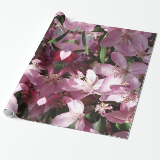 Spring Sprung Cadeaupapier (Uitgerold)