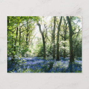 Spring Sunbeams Briefkaart