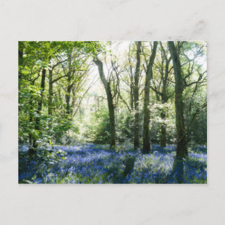 Spring Sunbeams Briefkaart