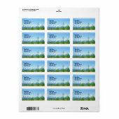 Spring Tetons VISION-label Etiket (Full Sheet)