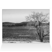 Spring Thaw, Steamboot Dock (Binnen Horizontaal (Boven))