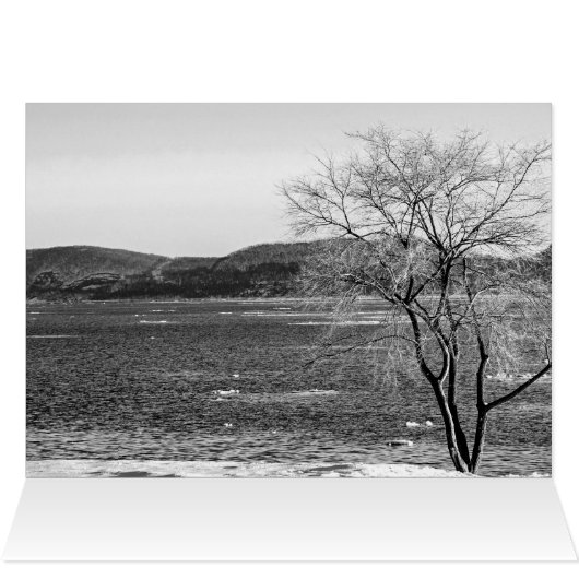 Spring Thaw, Steamboot Dock (Binnen Horizontaal (Boven))