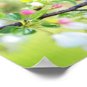 Spring Time Bird Poster (Hoek)