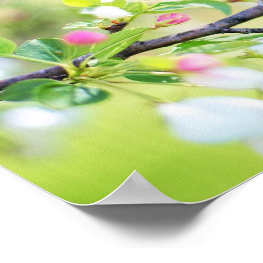 Spring Time Bird Poster (Hoek)