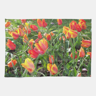 Spring Time Tulip Towel Theedoek