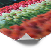 Spring Tractor Poster (Hoek)