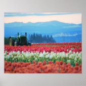 Spring Tractor Poster (Voorkant)