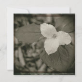 Spring Trillium Collodion Filter Notitiekaartje (Voorkant)