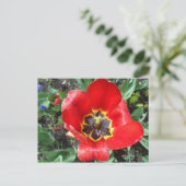 Spring Tulip Briefkaart (Staand voorkant)