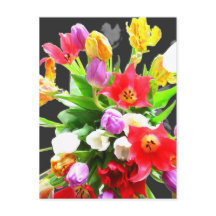 Spring Tulip Flowers