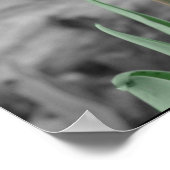 Spring Tulip Poster (Hoek)