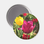 Spring Tulips (Oregon) Magneet (Voorkant / Achterkant)