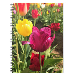 Spring Tulips (Oregon) Notitieboek