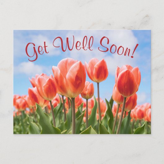 Spring Tulips Sunny Se Bien Bientôt Carte Postale (Devant)