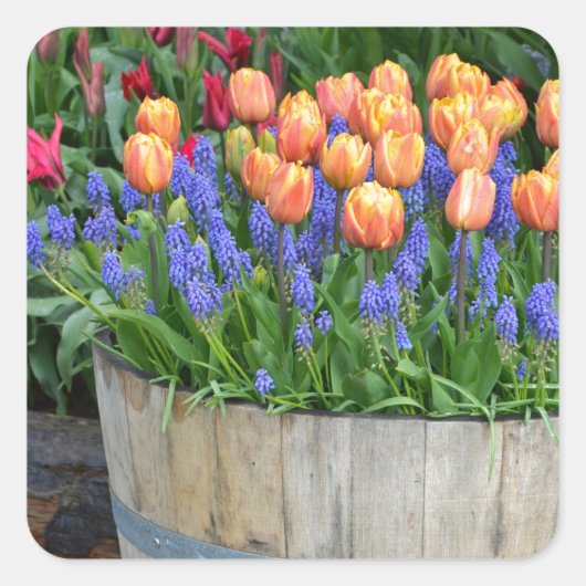 Spring tulp tuin print sticker (Voorkant)
