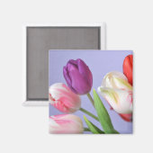 Spring Tulpen Magnet Magneet (Voorkant / Achterkant)