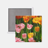 Spring Tulpen Magnet Magneet (Voorkant / Achterkant)