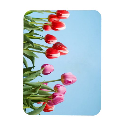 Spring Tulpen magneten (Verticaal)