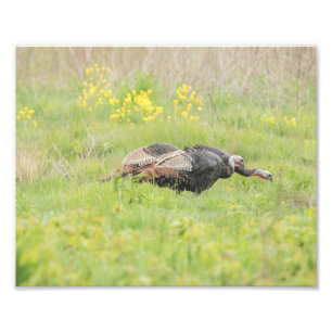 Spring Turkey Print Foto Afdruk