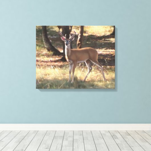 Spring Velvet canvas (Insitu (Houten vloer))