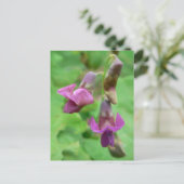 Spring Vetchling Briefkaart (Staand voorkant)