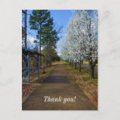 Spring Walk Briefkaart (Voorkant)