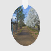 Spring Walk Ornament (voorkant)