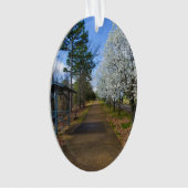 Spring Walk Ornament (voorkant)