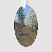 Spring Walk Ornament (voorkant)