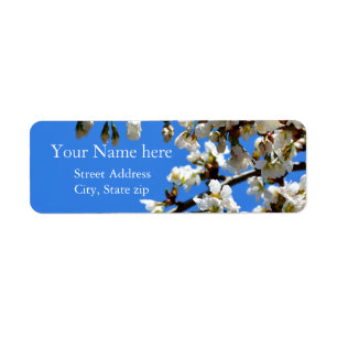 Spring white cherry Blossom Etiket